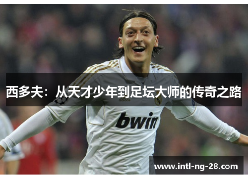 西多夫:从天才少年到足坛大师的传奇之路 西多夫:从天才少年到足坛大师的传奇之路