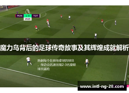 魔力鸟背后的足球传奇故事及其辉煌成就解析